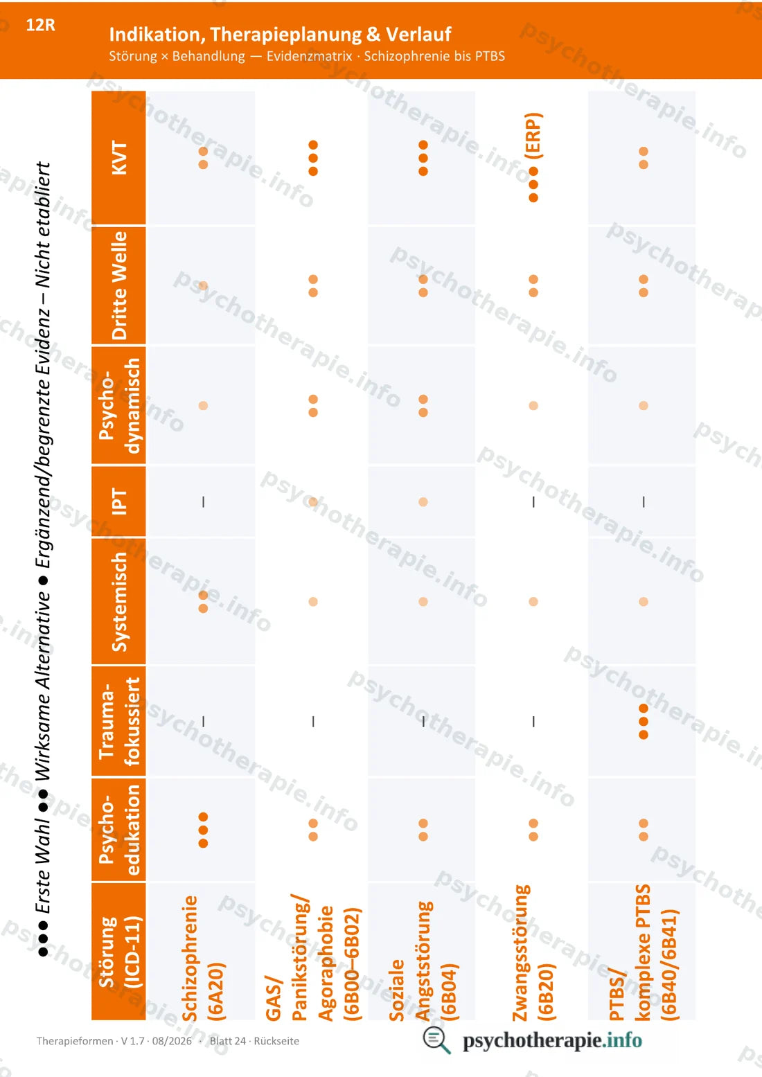 Therapieformen in Psychiatrie und Psychotherapie — Ringbuch A6