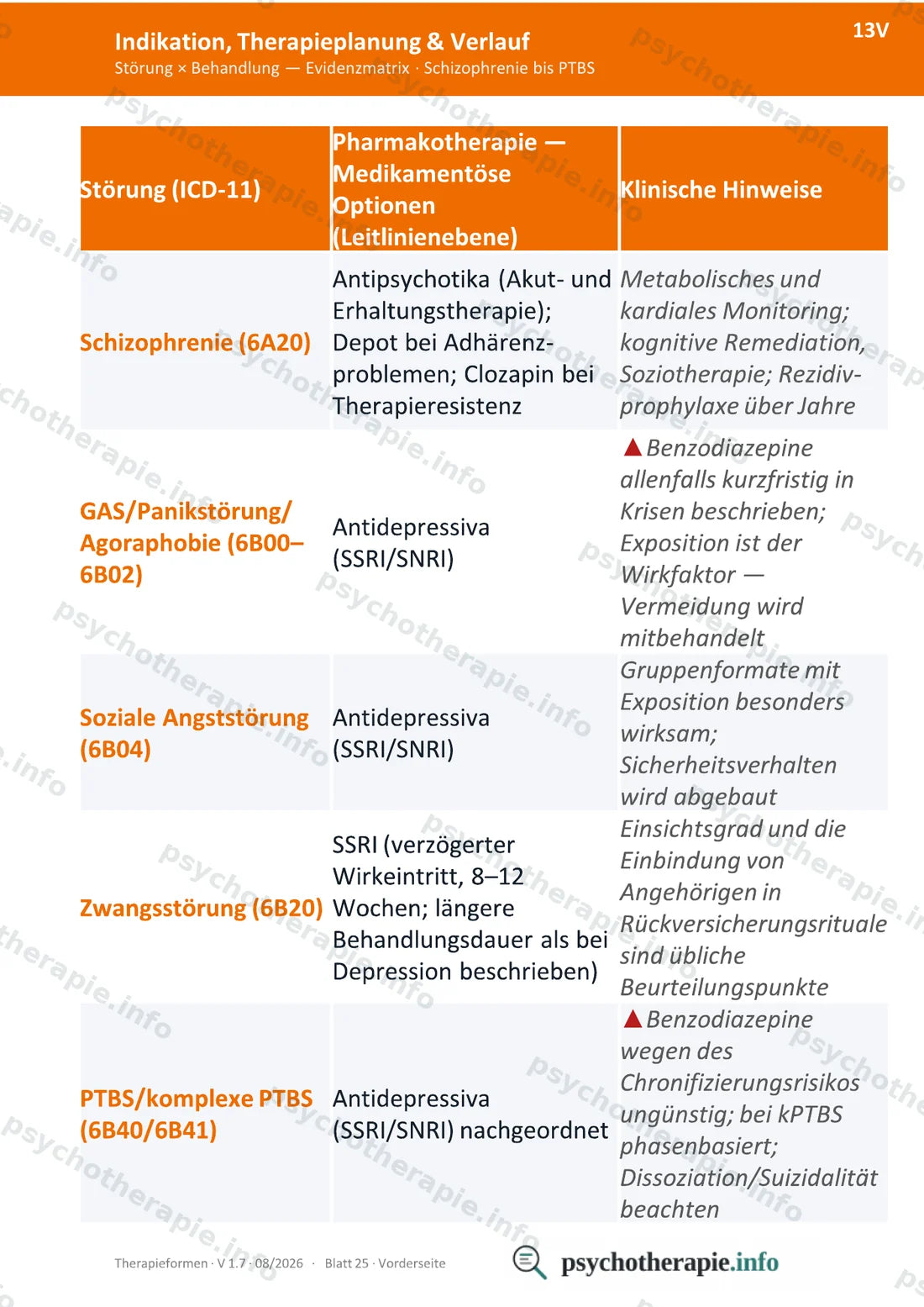 Therapieformen in Psychiatrie und Psychotherapie — Ringbuch A6